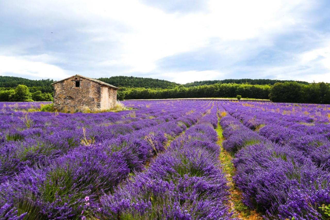 Petit Studio Atypique Et Cosy En Provence Saint-Étienne-les-Orgues Εξωτερικό φωτογραφία